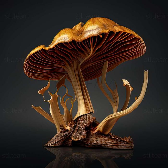 3D модель Gymnopholus fungifer (STL)